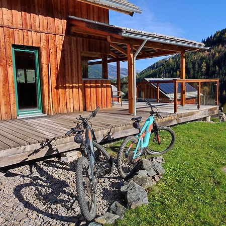 Panorama-Chalet Alpengloeckchen Stadl an der Mur 외부 사진